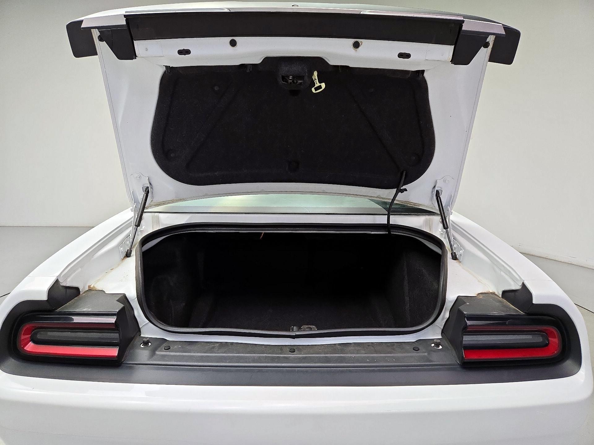 Thumbnail: 2019 Dodge Challenger - 20