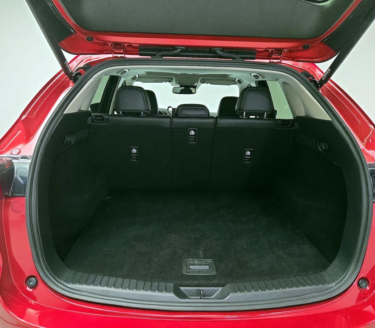 Trunk/Cargo (Seats Up)