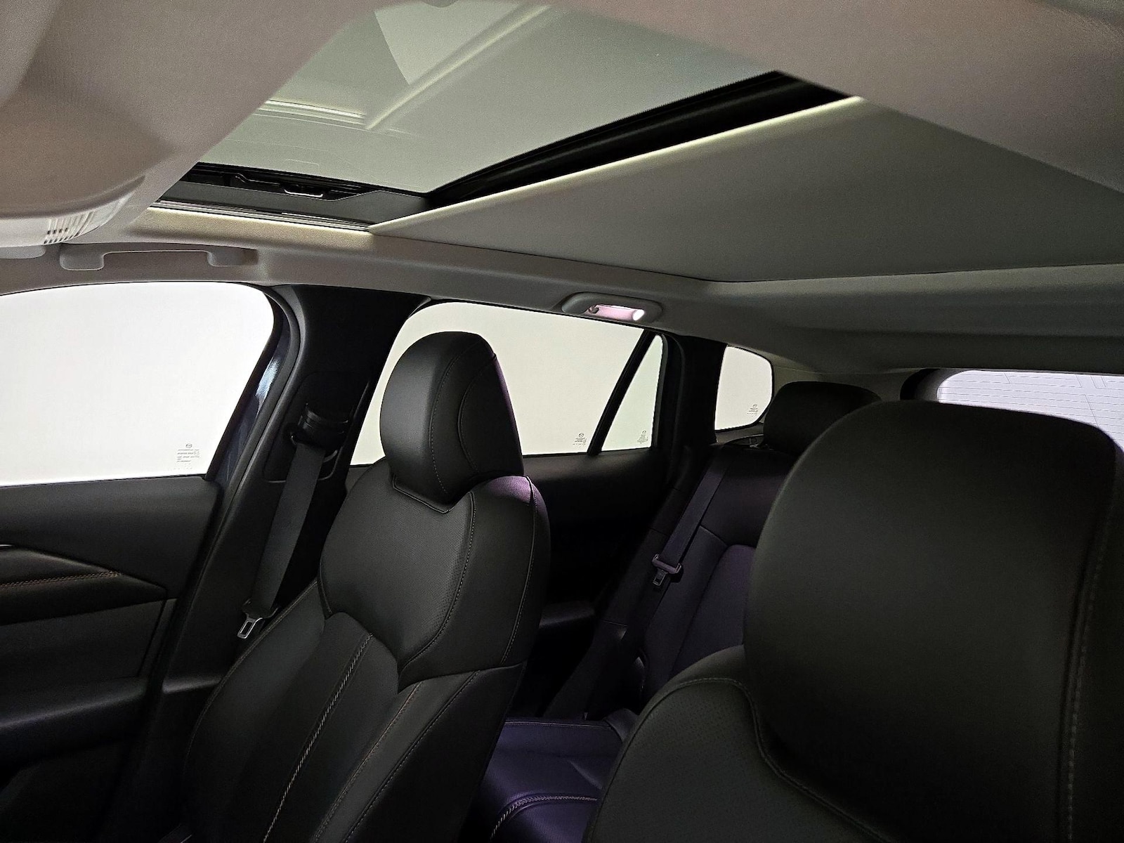 Panoramic Sunroof