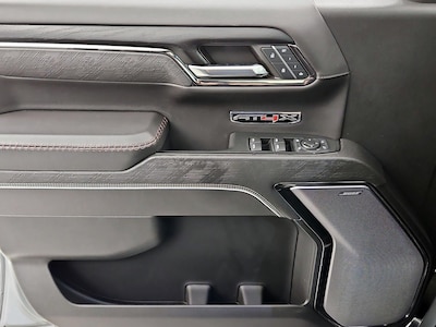 Driver Door Panel