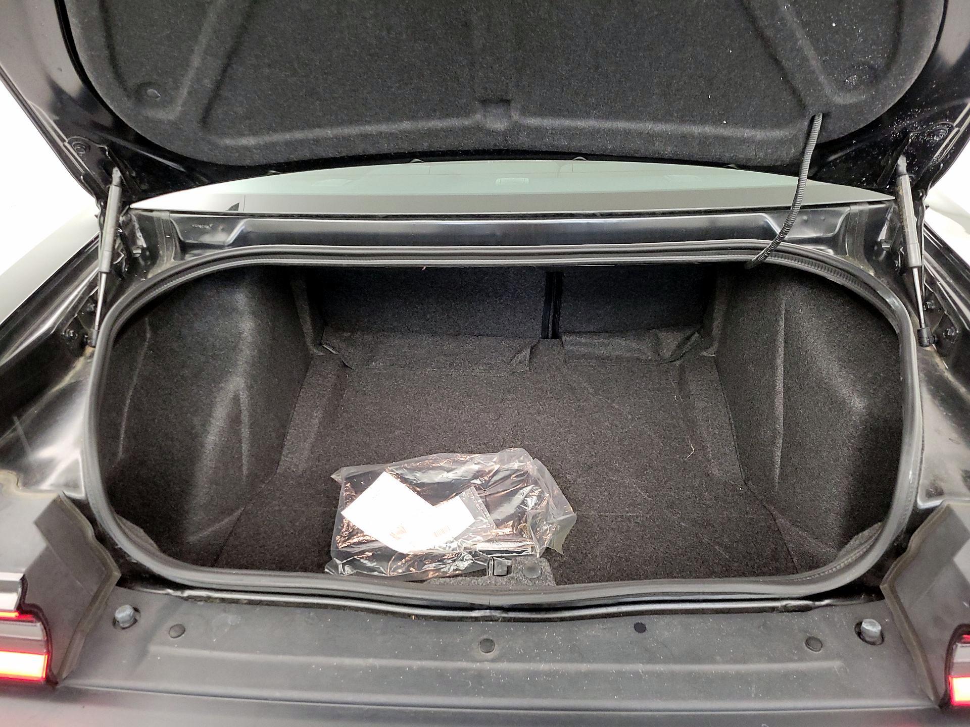 Thumbnail: 2019 Dodge Challenger - 20