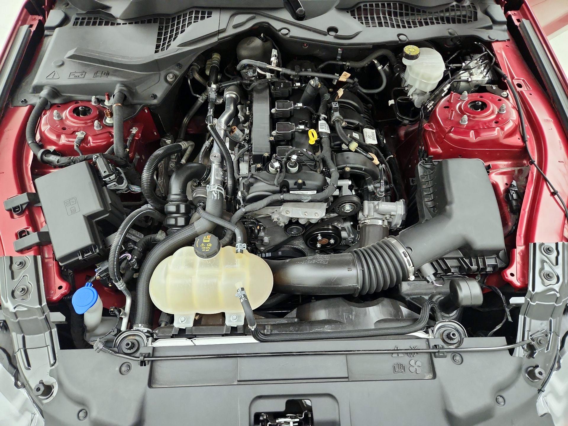 Thumbnail: 2022 Ford Mustang - 18