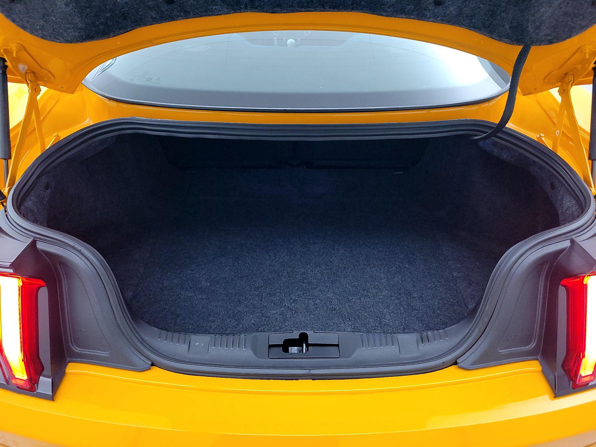 Thumbnail: 2019 Ford Mustang - 20