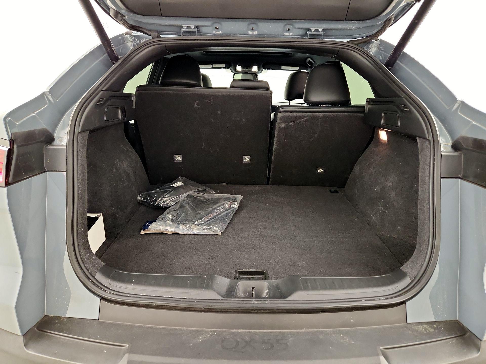 Thumbnail: 2023 INFINITI QX55 - 19