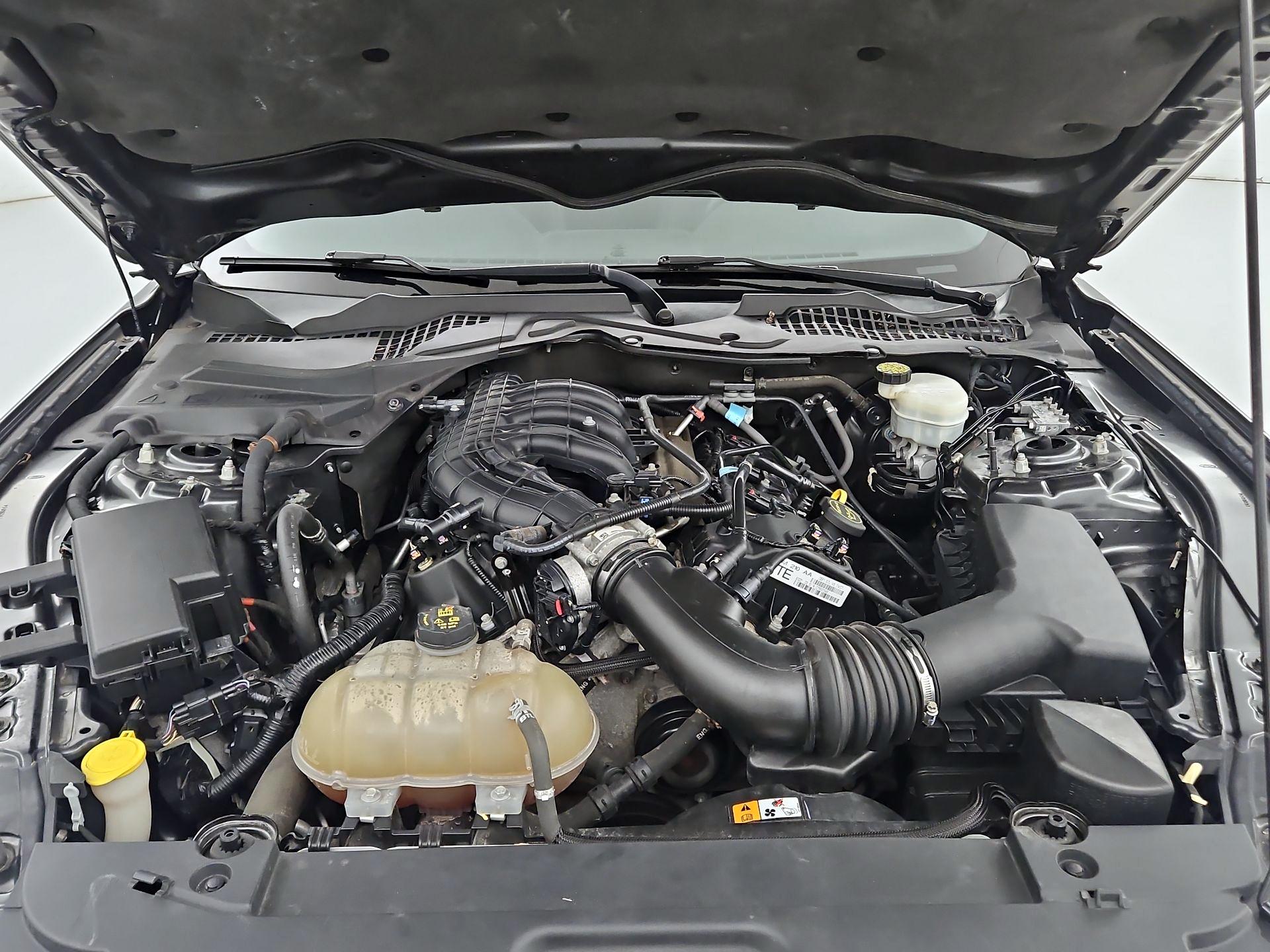 Thumbnail: 2015 Ford Mustang - 18