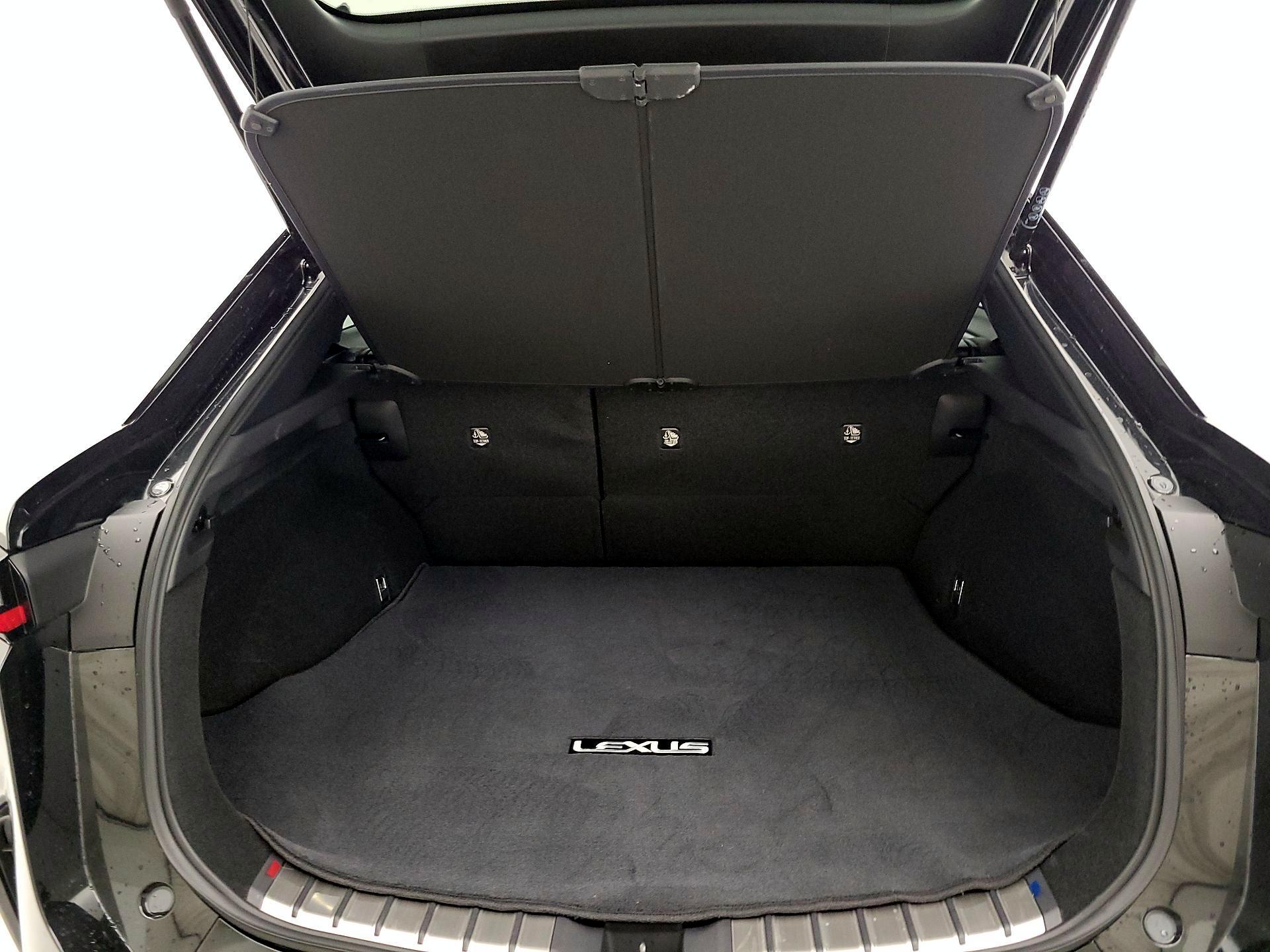 Thumbnail: 2024 Lexus RZ - 20