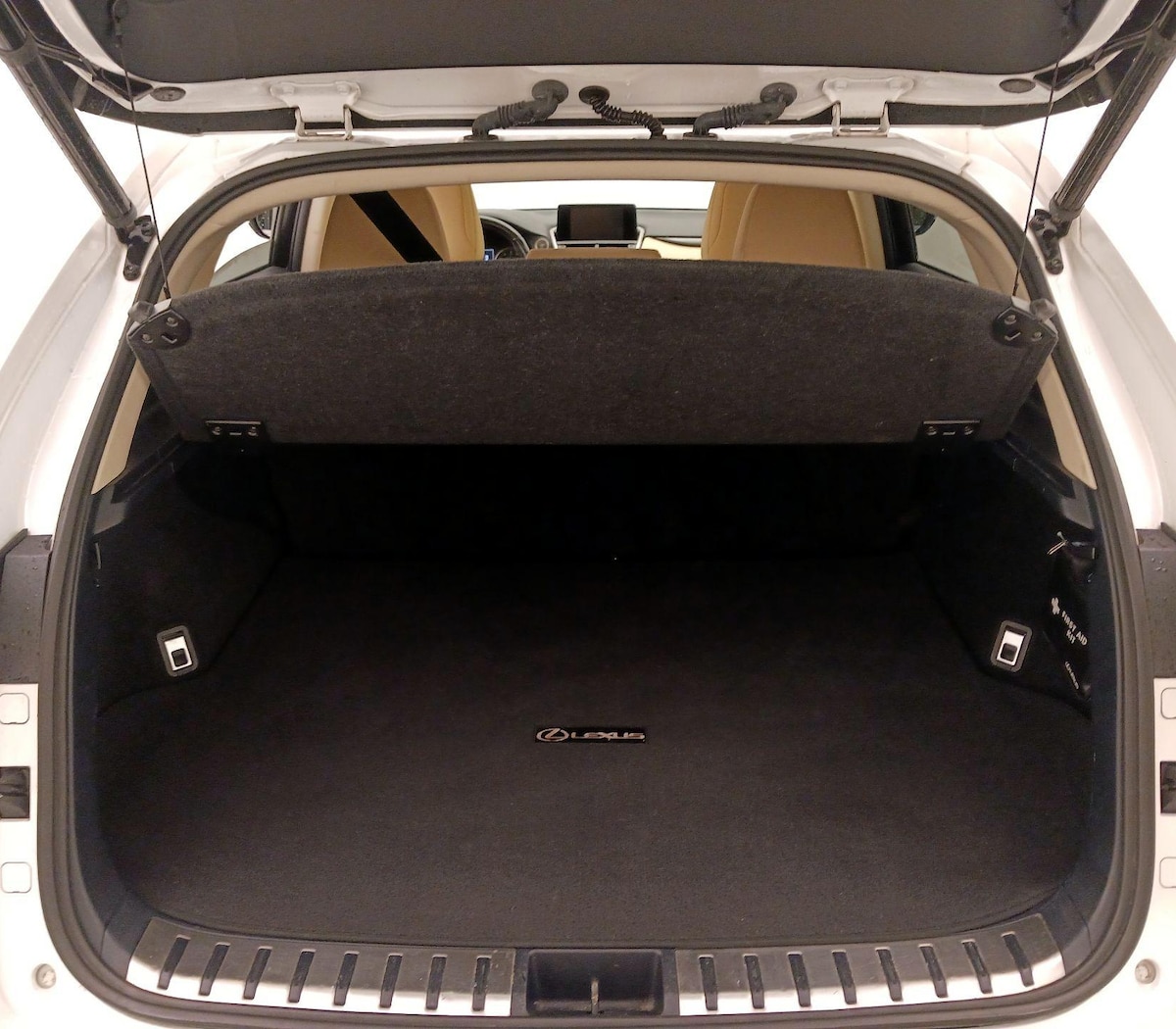 Trunk/Cargo (Seats Up)