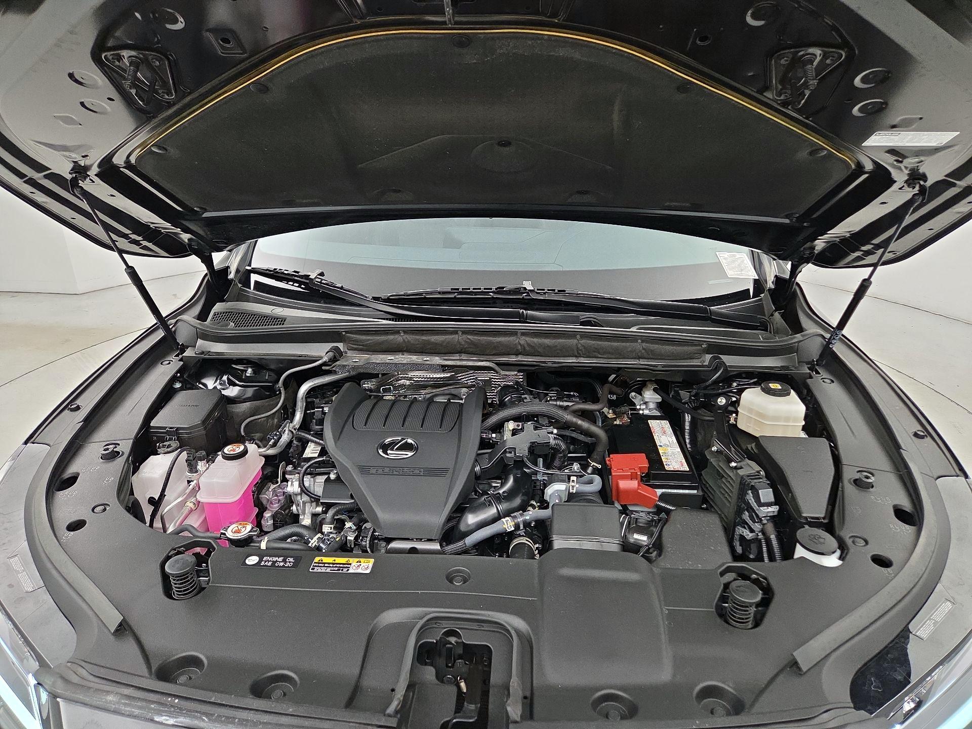 Thumbnail: 2024 Lexus RX - 20