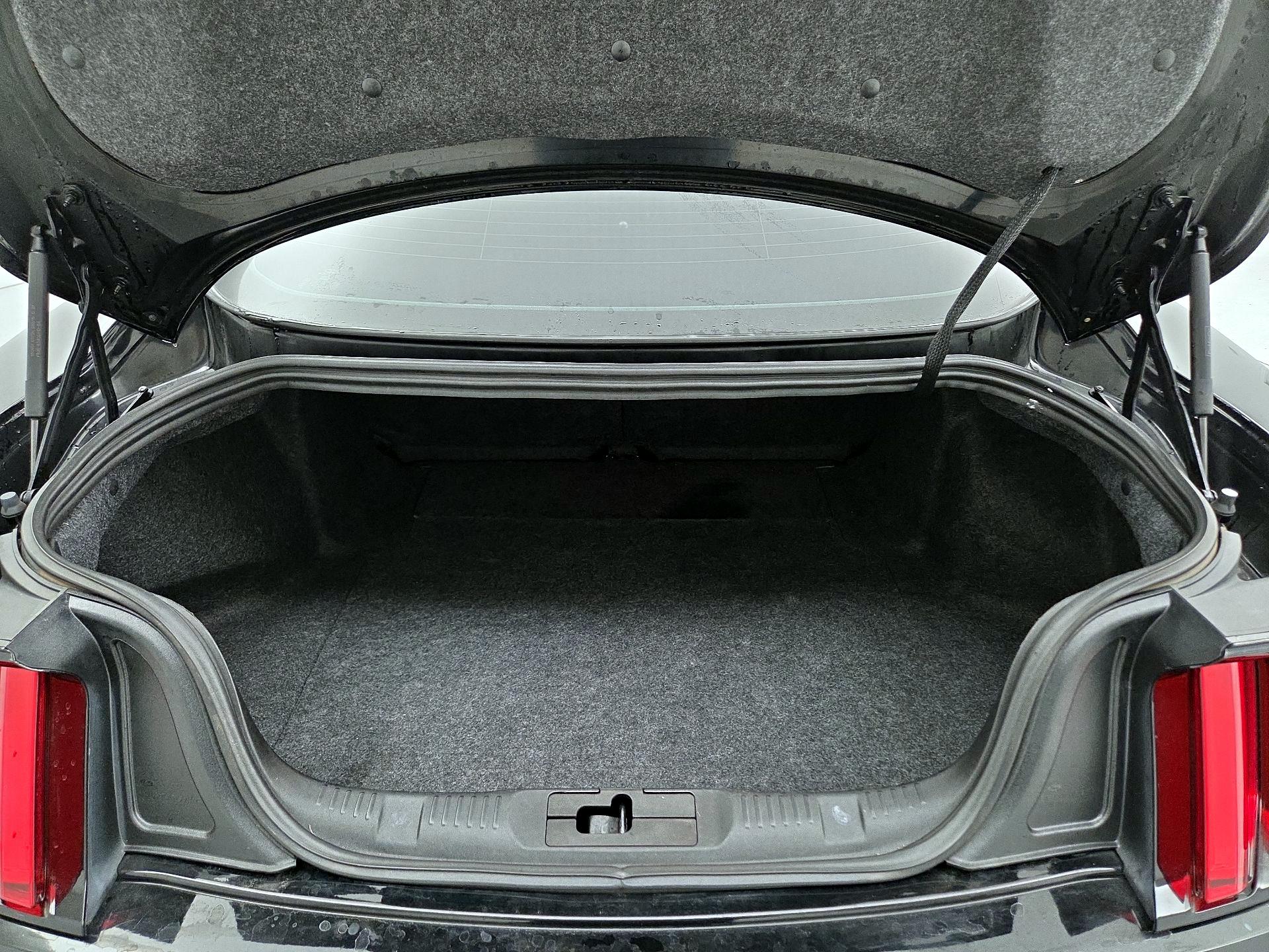 Thumbnail: 2015 Ford Mustang - 20