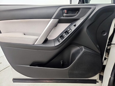 Driver Door Panel