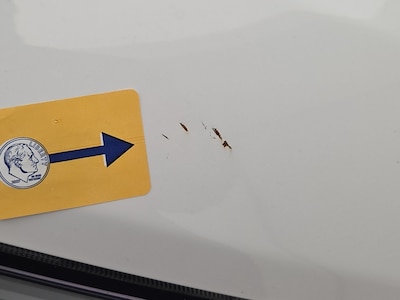 Condition detail