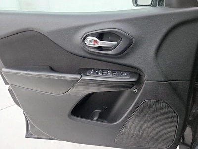 Driver Door Panel