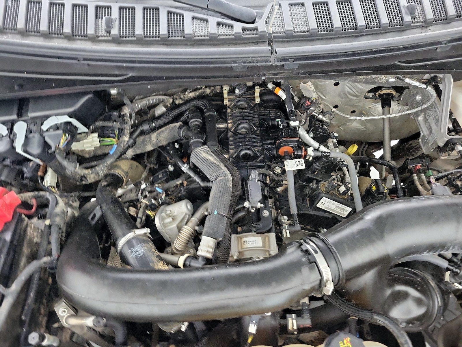 2024 Ford Expedition XLT - Photo 23