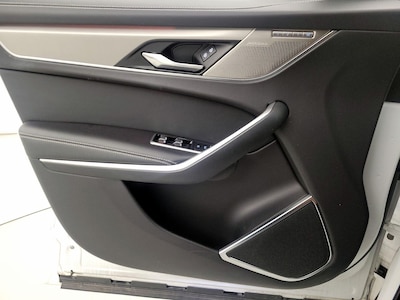 Driver Door Panel