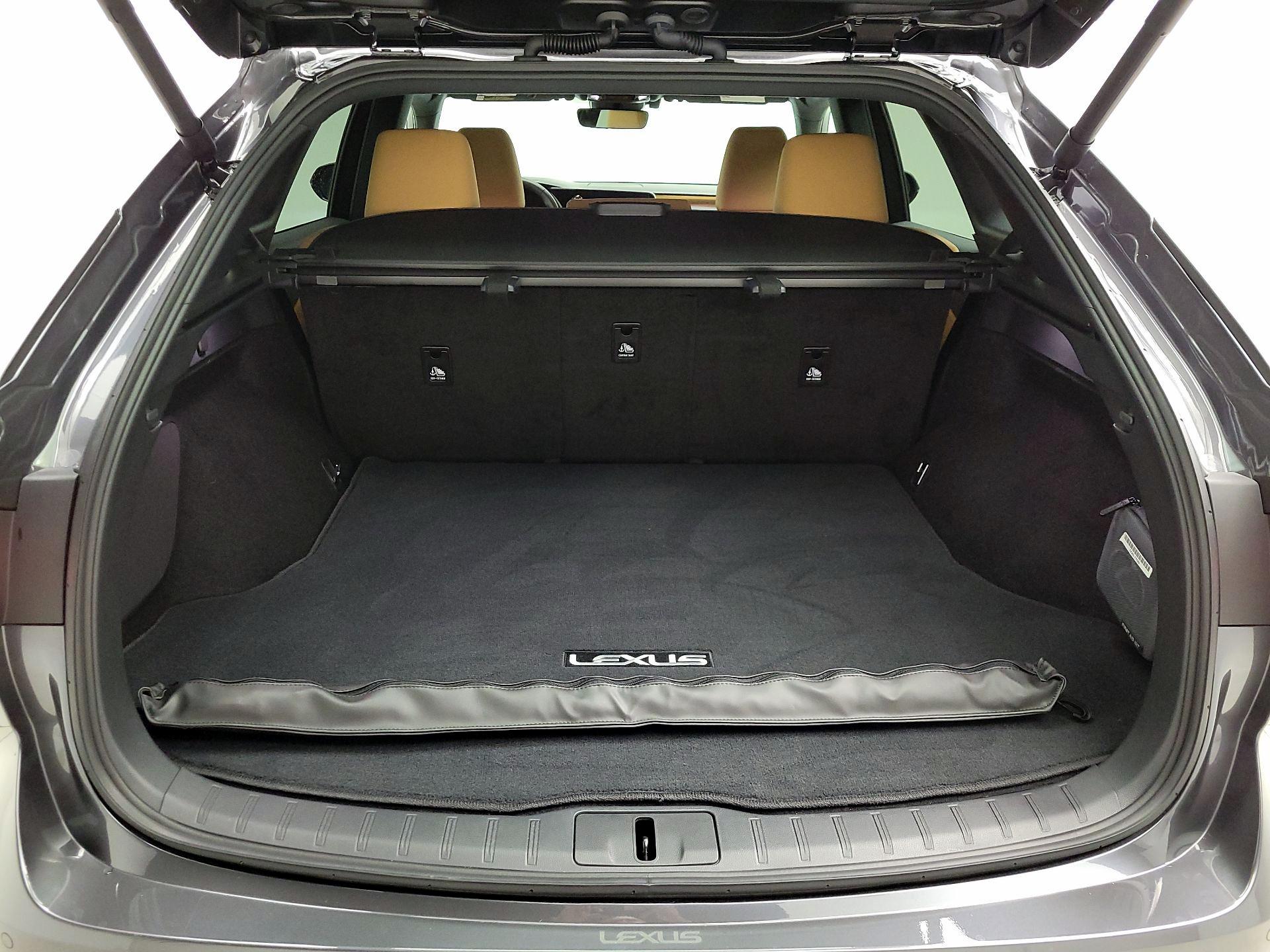 Thumbnail: 2025 Lexus RX - 20