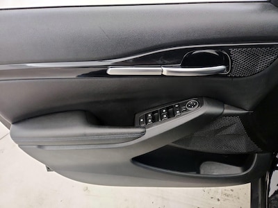 Driver Door Panel