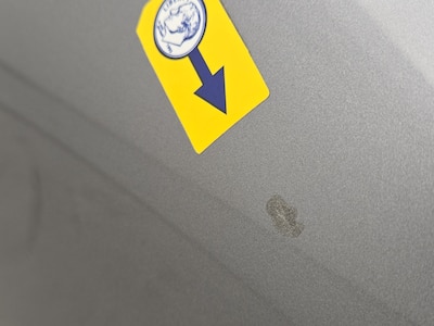 Rear Door Driver Side Cosmetic Imperfection