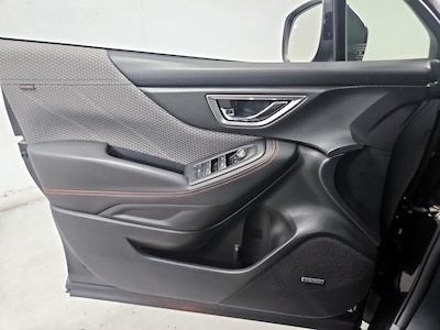 Driver Door Panel