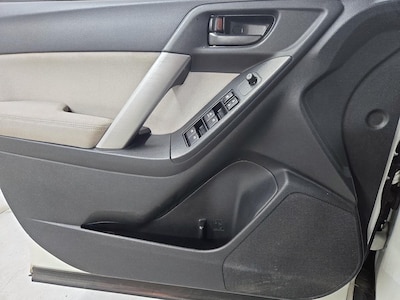 Driver Door Panel