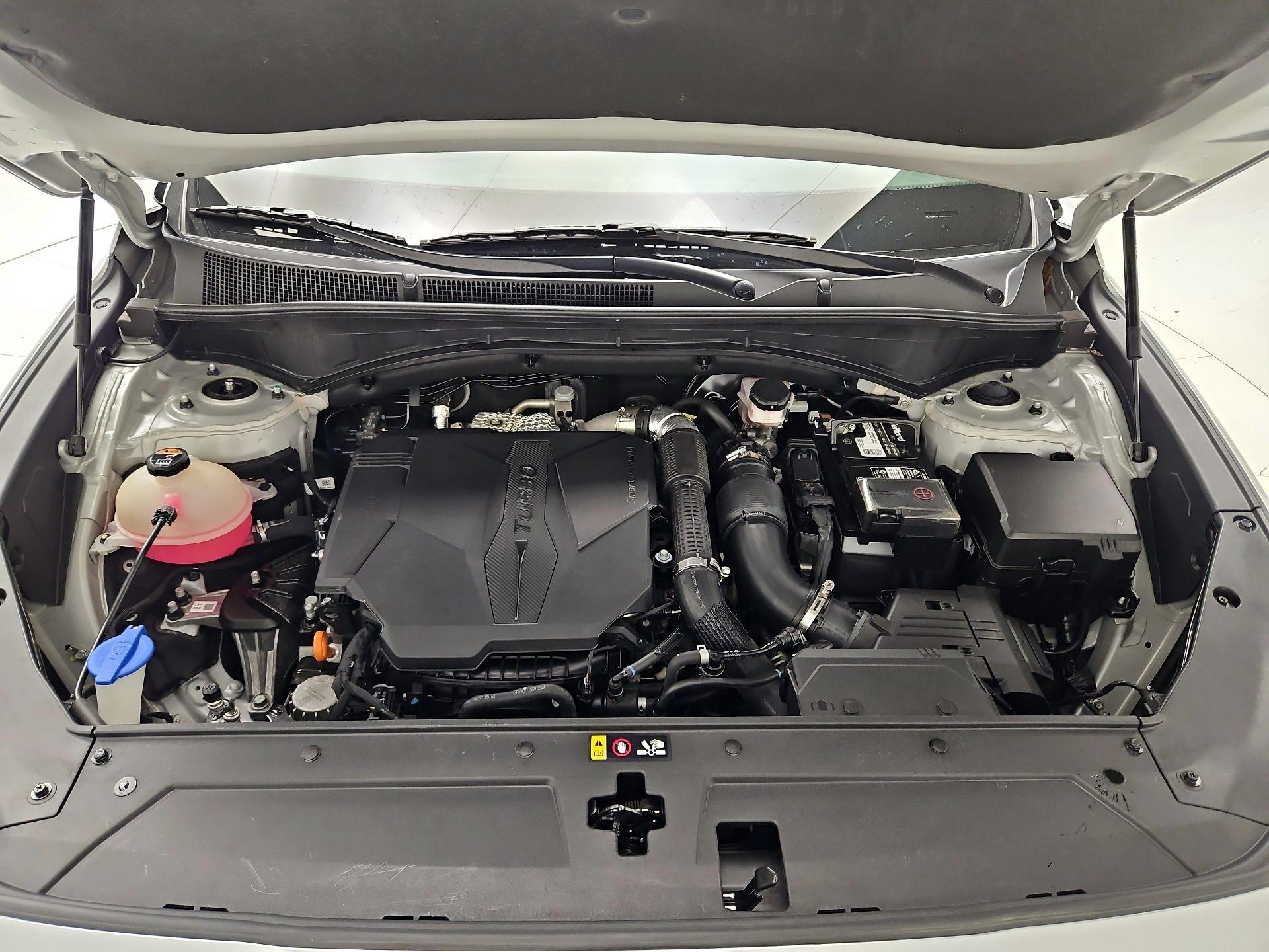 Thumbnail: 2022 Hyundai Santa Fe - 19