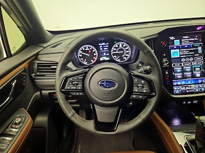 Steering Wheel & Instrument Cluster (On)