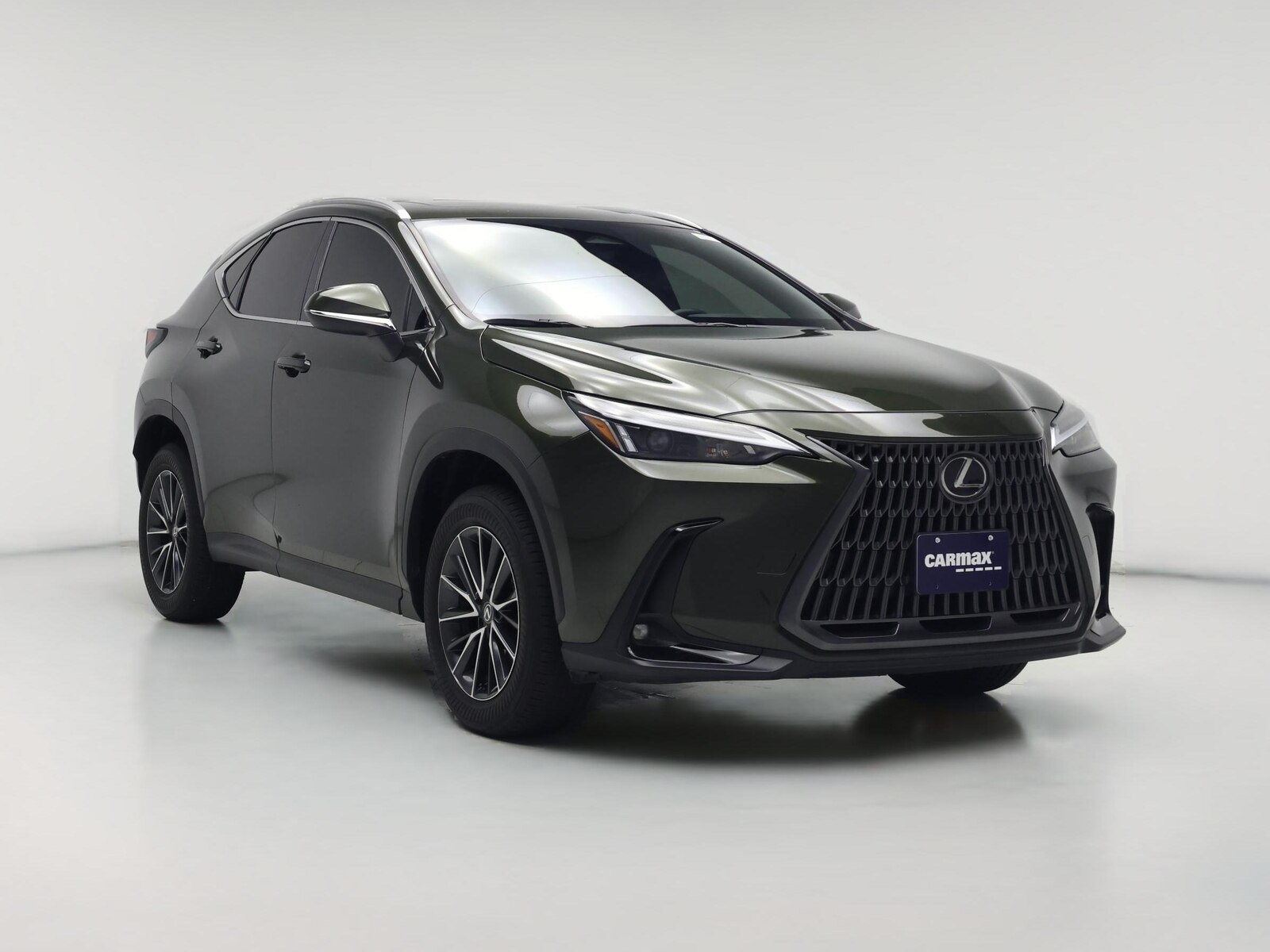 2024 Lexus NX
