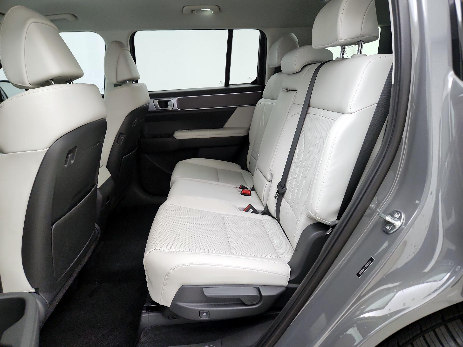 Thumbnail: 2025 Hyundai Santa Fe - 19