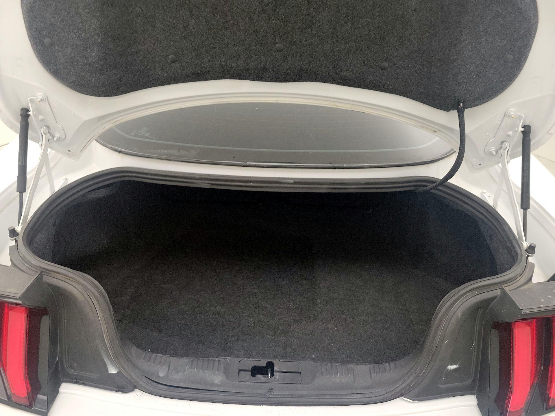 Thumbnail: 2019 Ford Mustang - 19