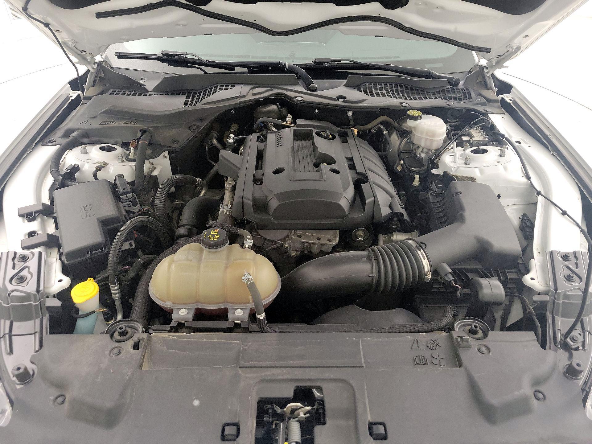 Thumbnail: 2019 Ford Mustang - 20