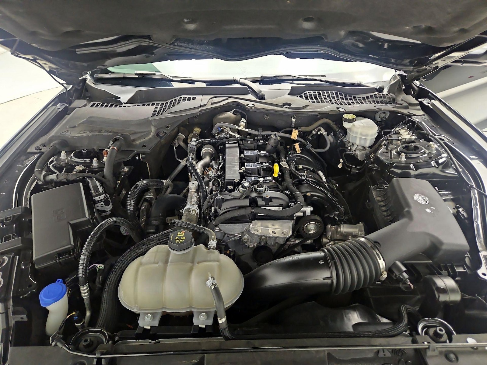 2023 Ford Mustang EcoBoost - Photo 22