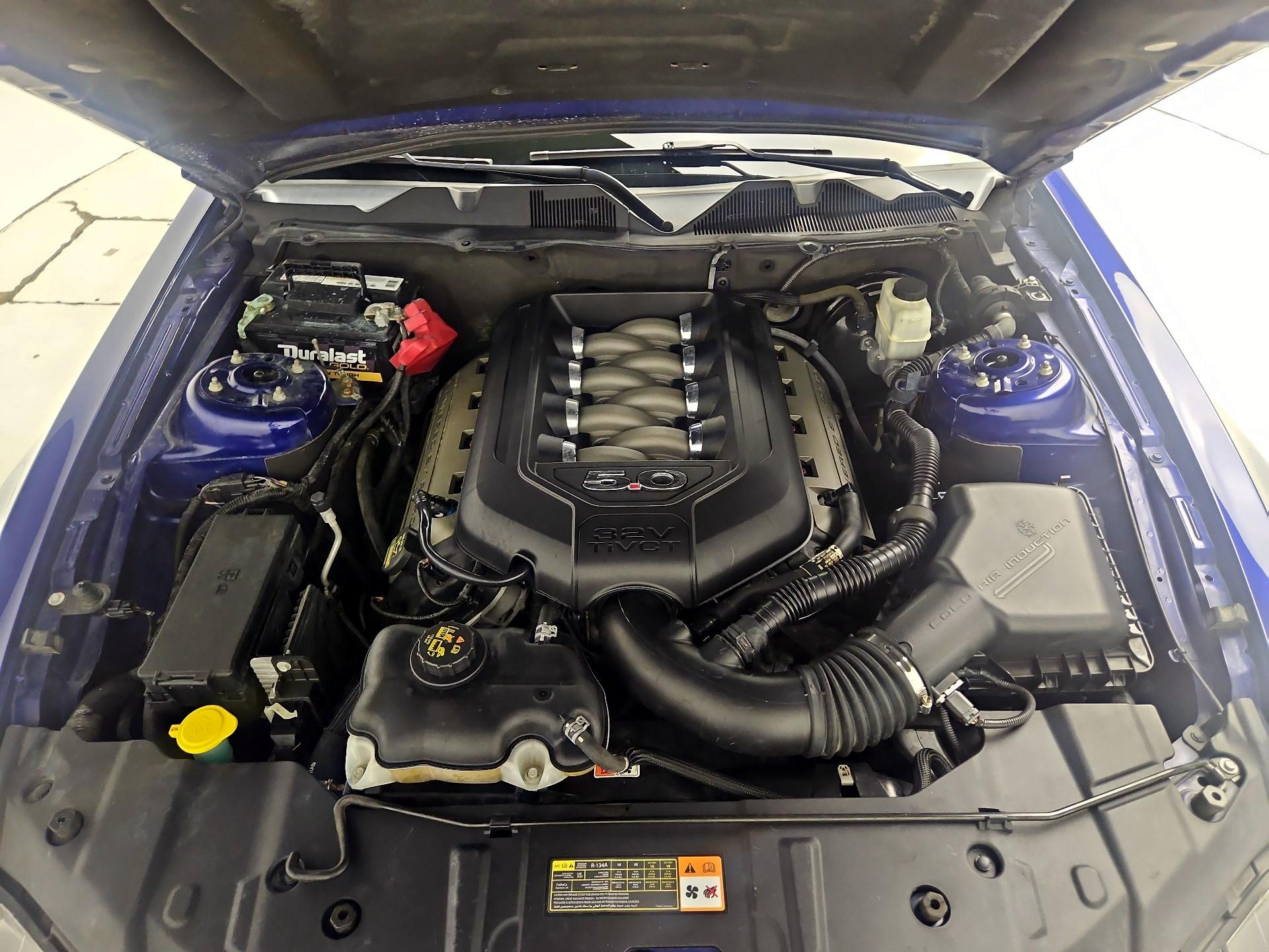 Thumbnail: 2014 Ford Mustang - 19