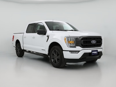 2023 Ford F150 XLT