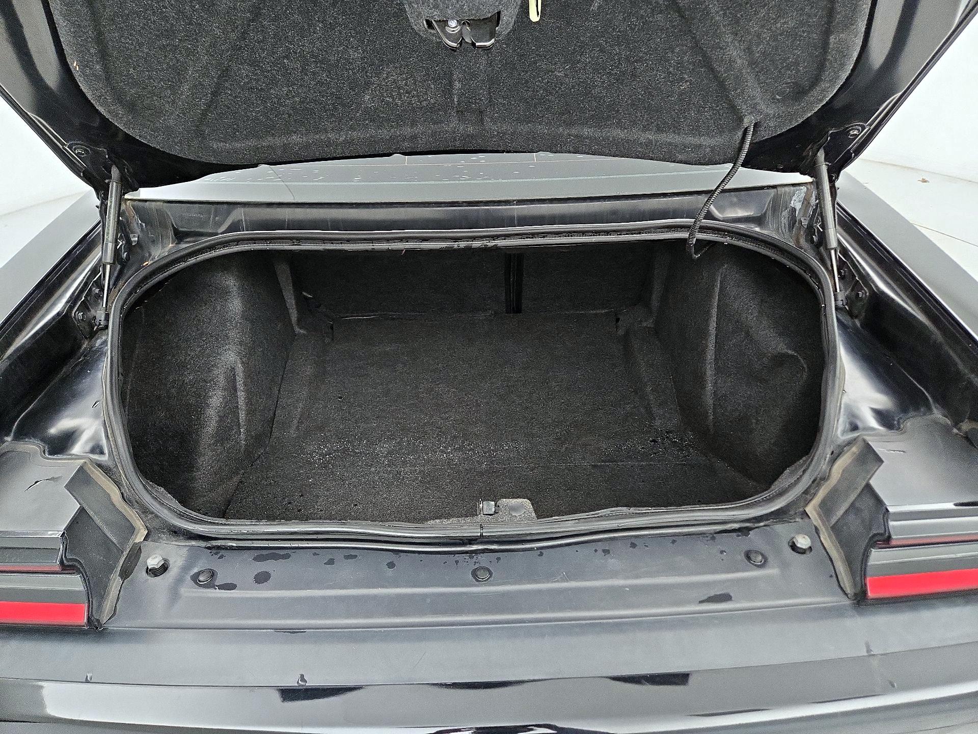 Thumbnail: 2019 Dodge Challenger - 20
