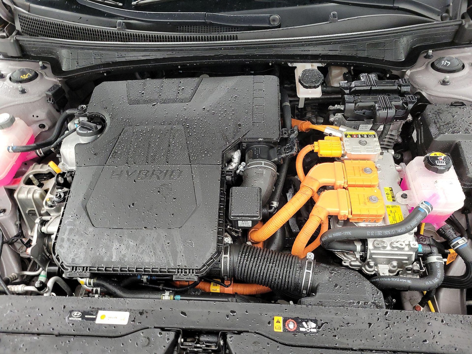 2024 Hyundai Elantra Limited - Photo 24