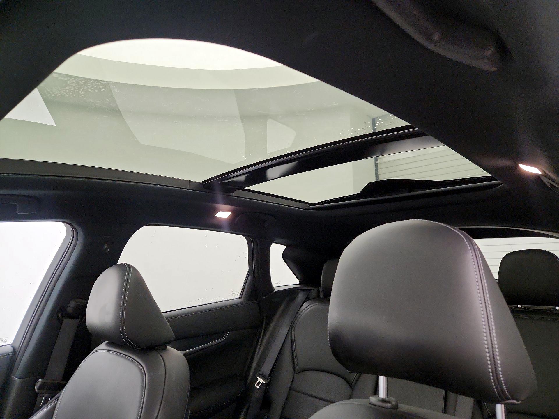 Thumbnail: 2024 INFINITI QX50 - 20