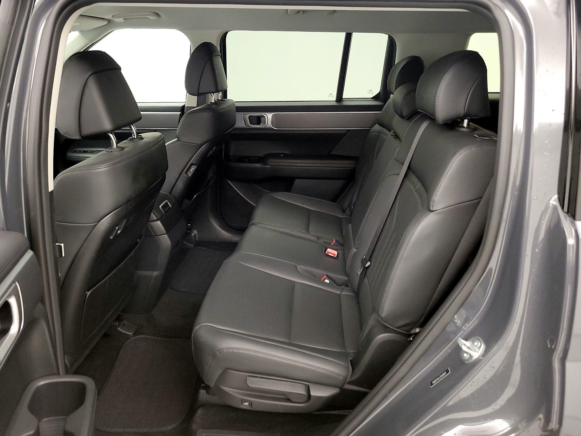 Thumbnail: 2025 Hyundai Santa Fe - 19