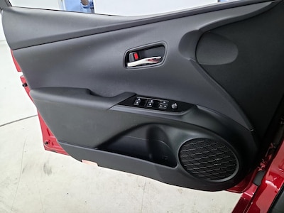 Driver Door Panel