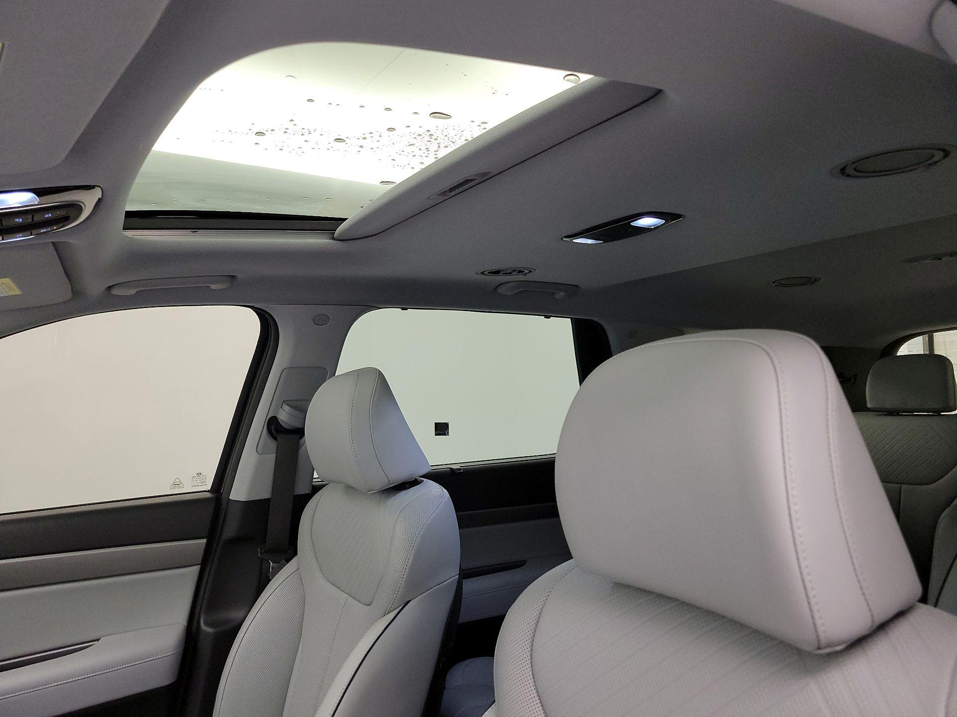 Thumbnail: 2025 Hyundai Palisade - 20