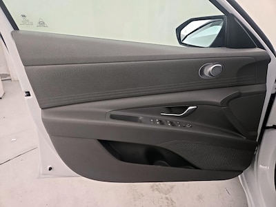 Driver Door Panel