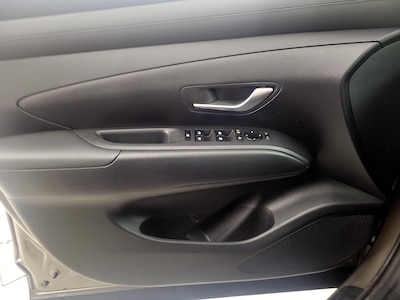 Driver Door Panel