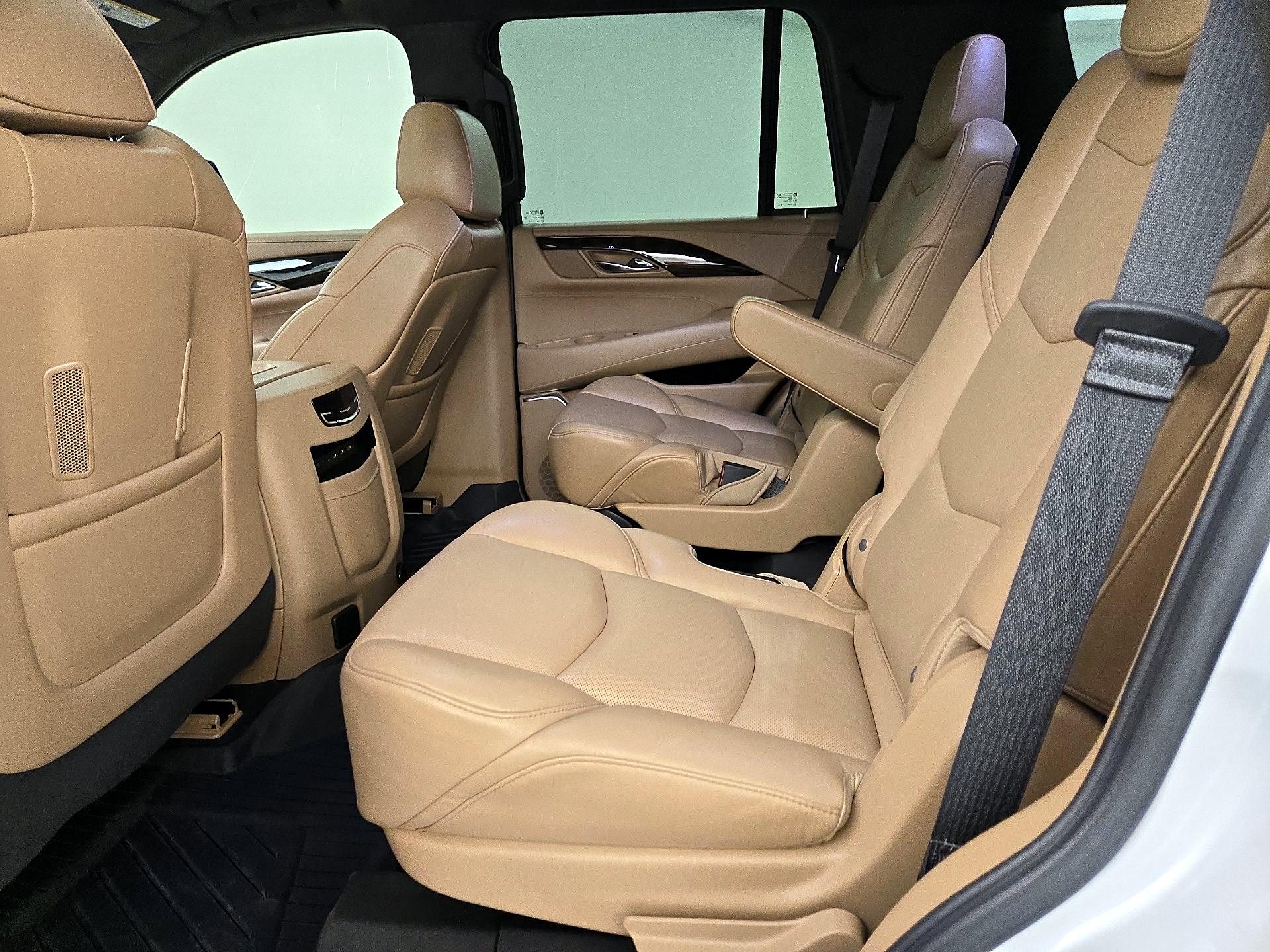 Thumbnail: 2020 Cadillac Escalade - 20