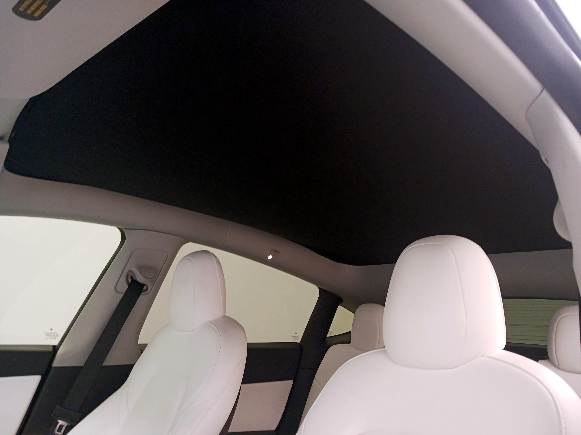 Thumbnail: 2021 Tesla Model Y - 19