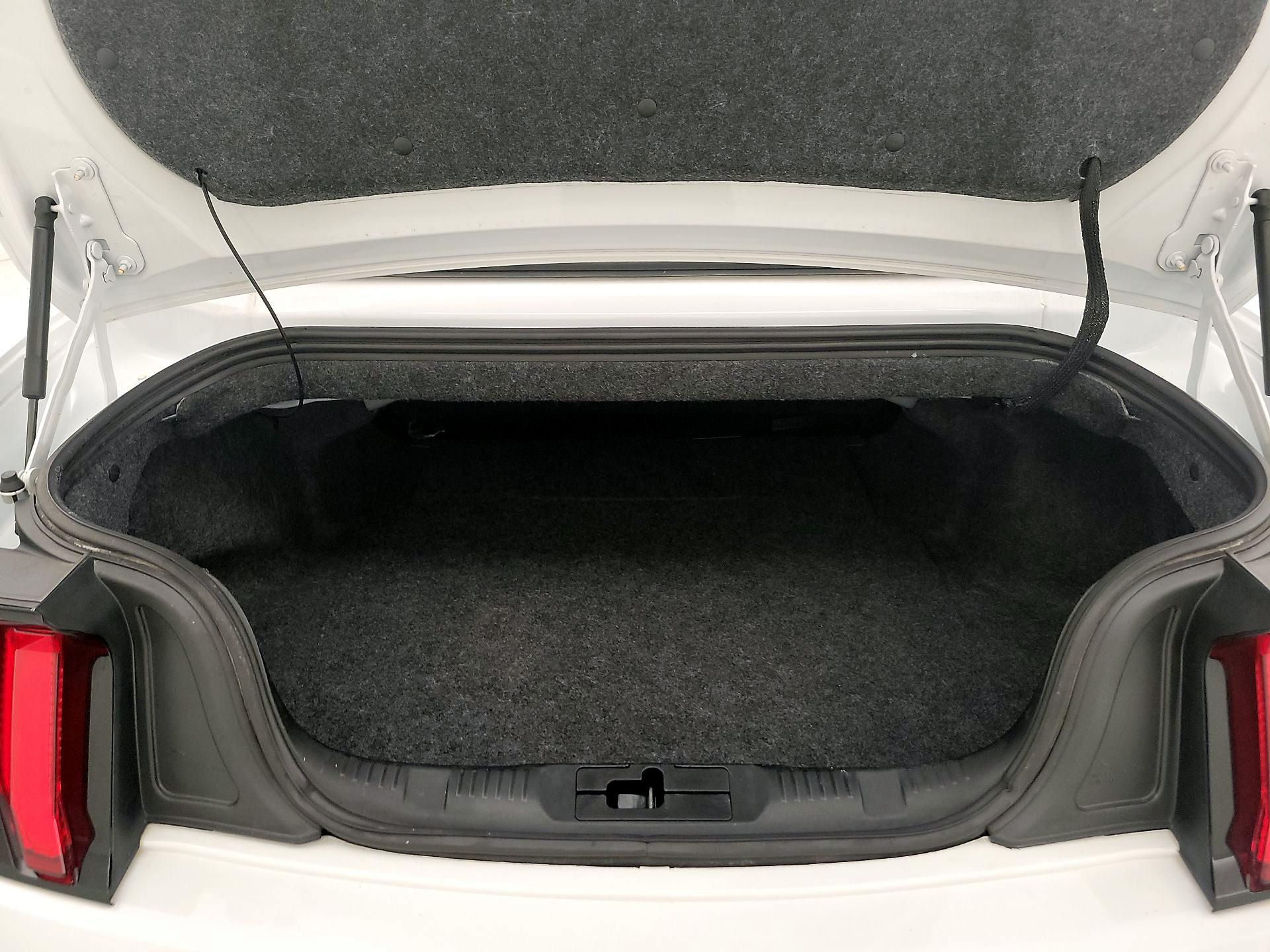 Thumbnail: 2019 Ford Mustang - 20