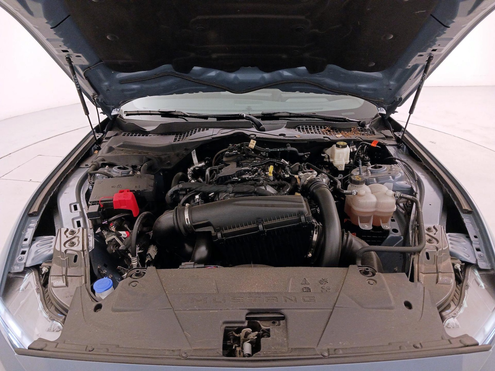 2024 Ford Mustang EcoBoost - Photo 22
