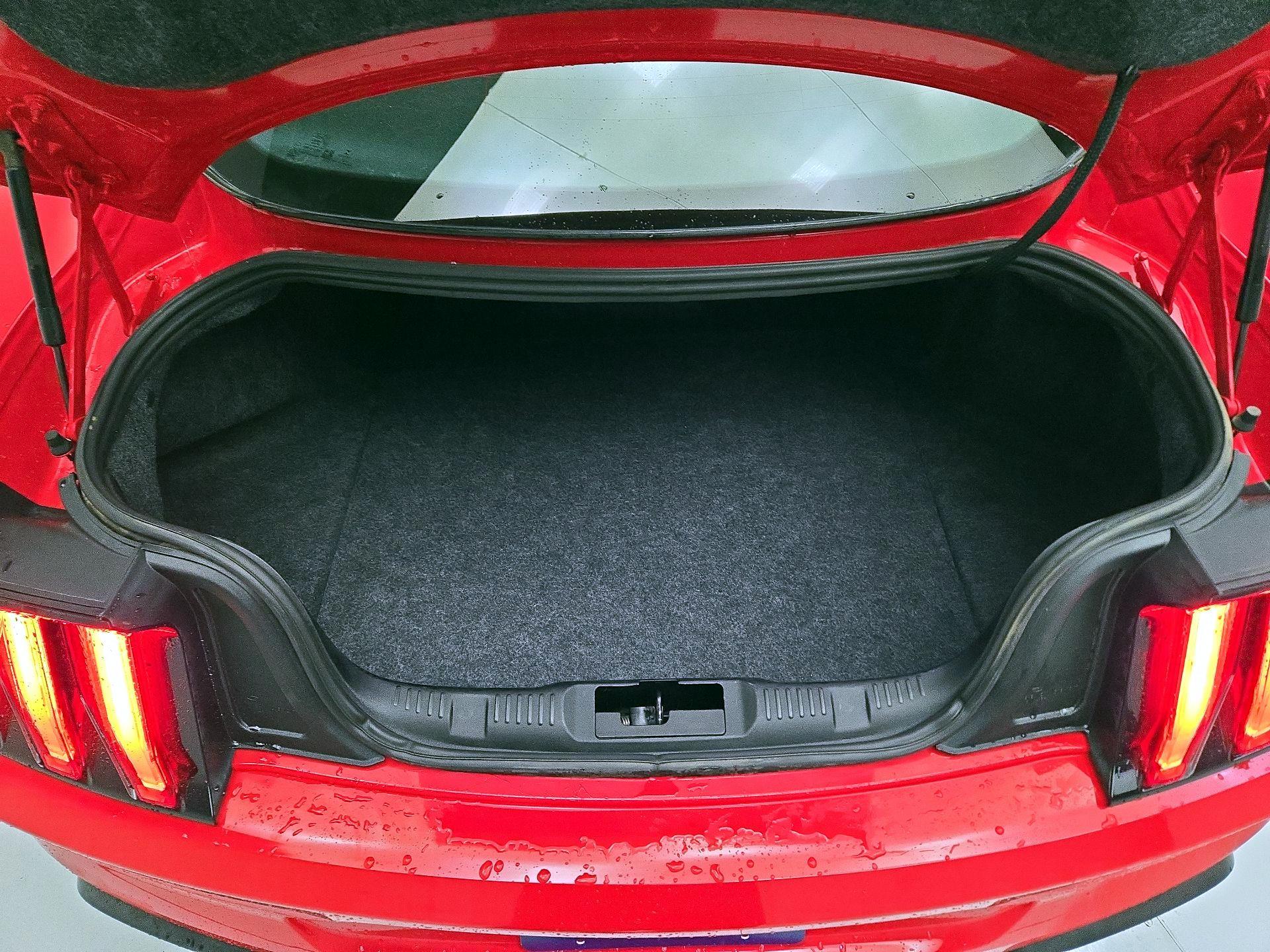 Thumbnail: 2019 Ford Mustang - 19