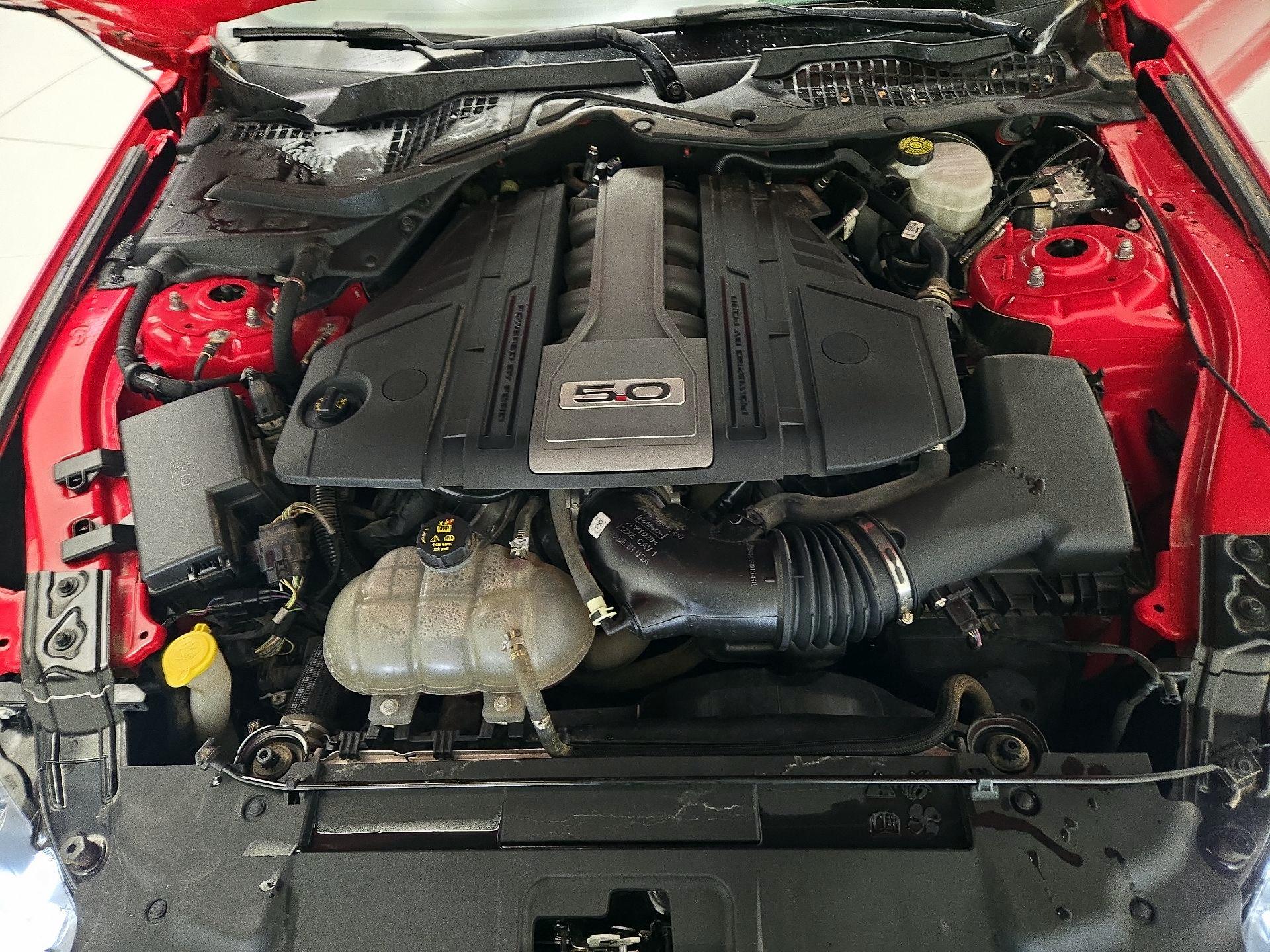 Thumbnail: 2019 Ford Mustang - 20