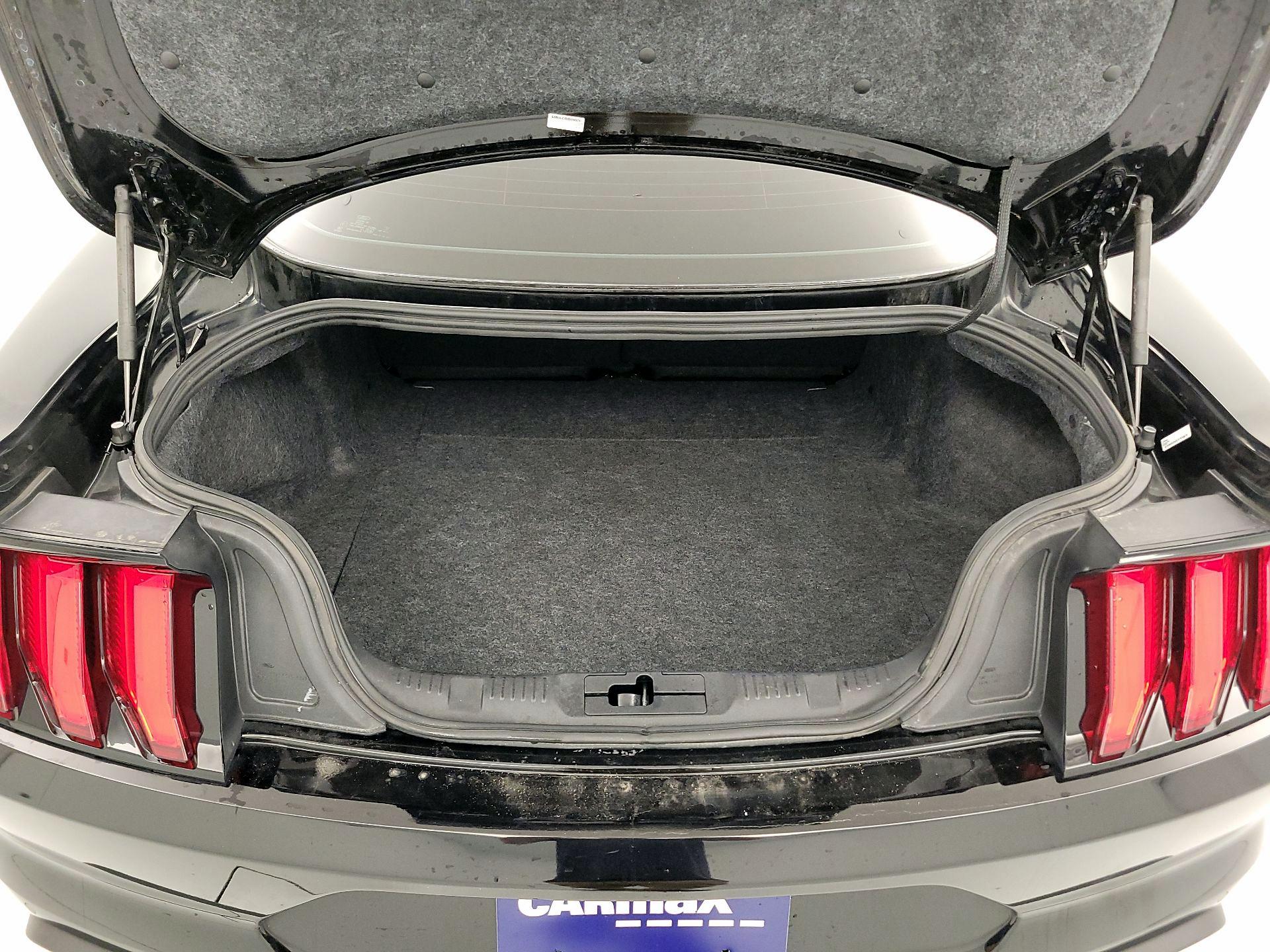 Thumbnail: 2019 Ford Mustang - 20