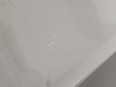 Condition detail