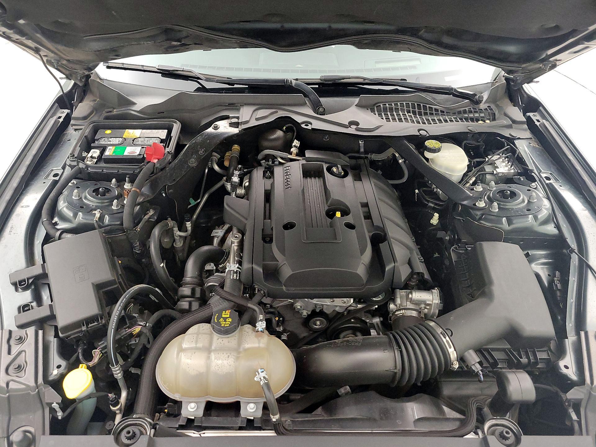 Thumbnail: 2016 Ford Mustang - 17