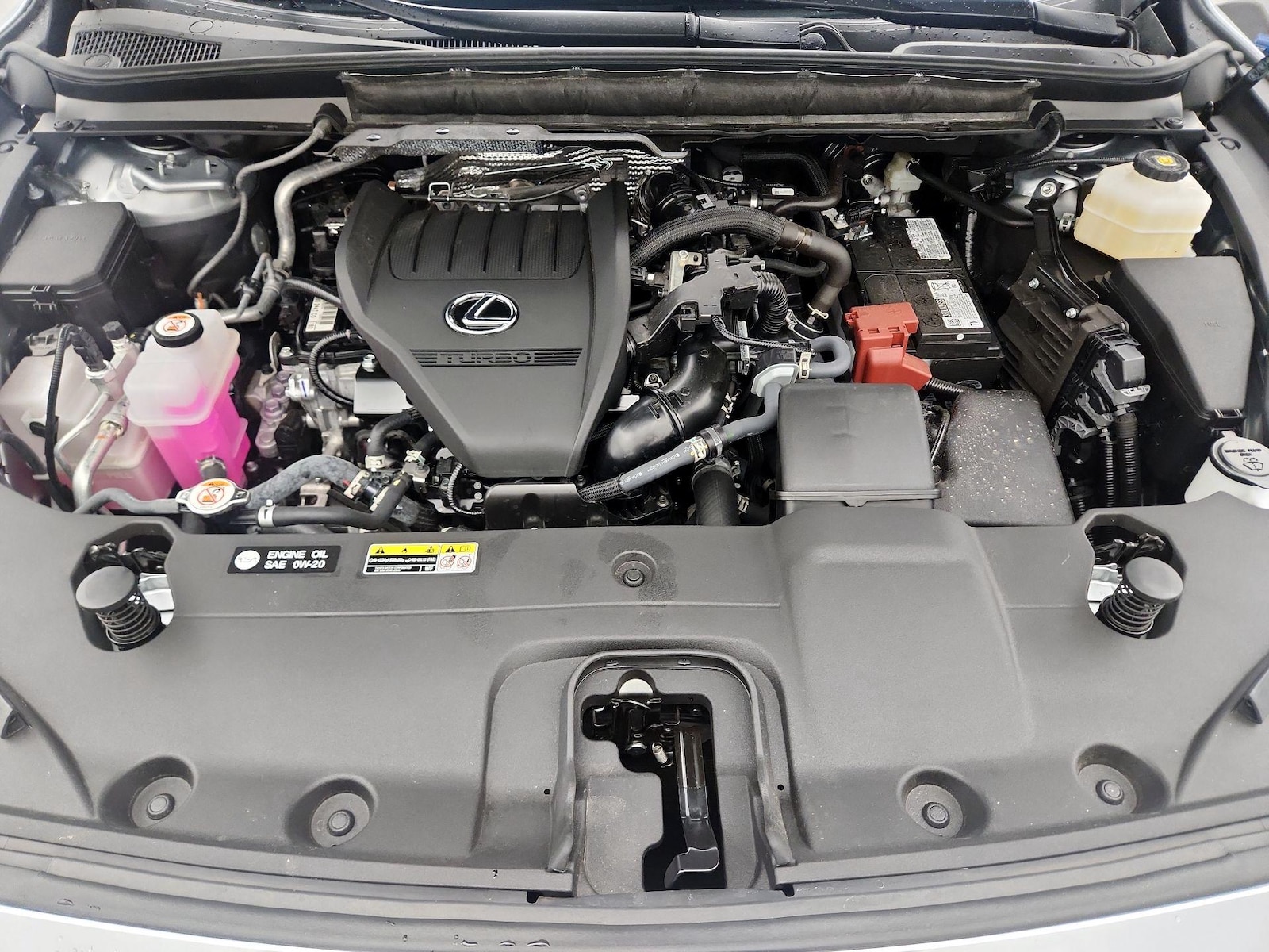 2025 Lexus RX 350 - Photo 23